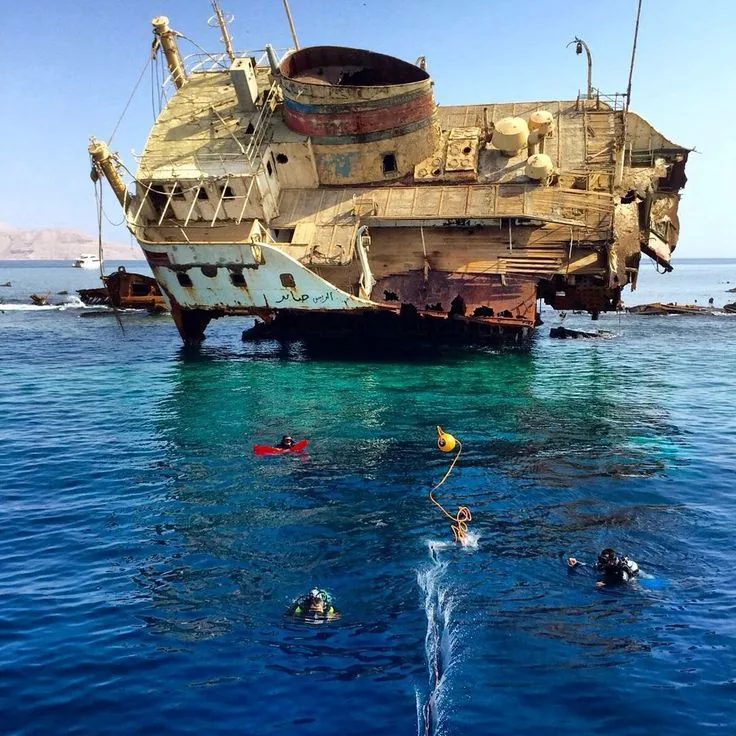 Private Speed Boat – Tiran Island — 8